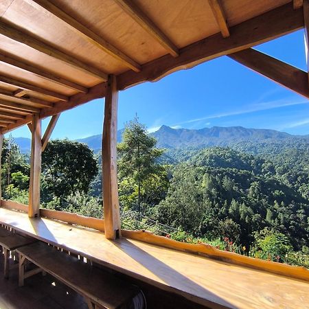 Maison Manendra - Bromo มะลัง ภายนอก รูปภาพ