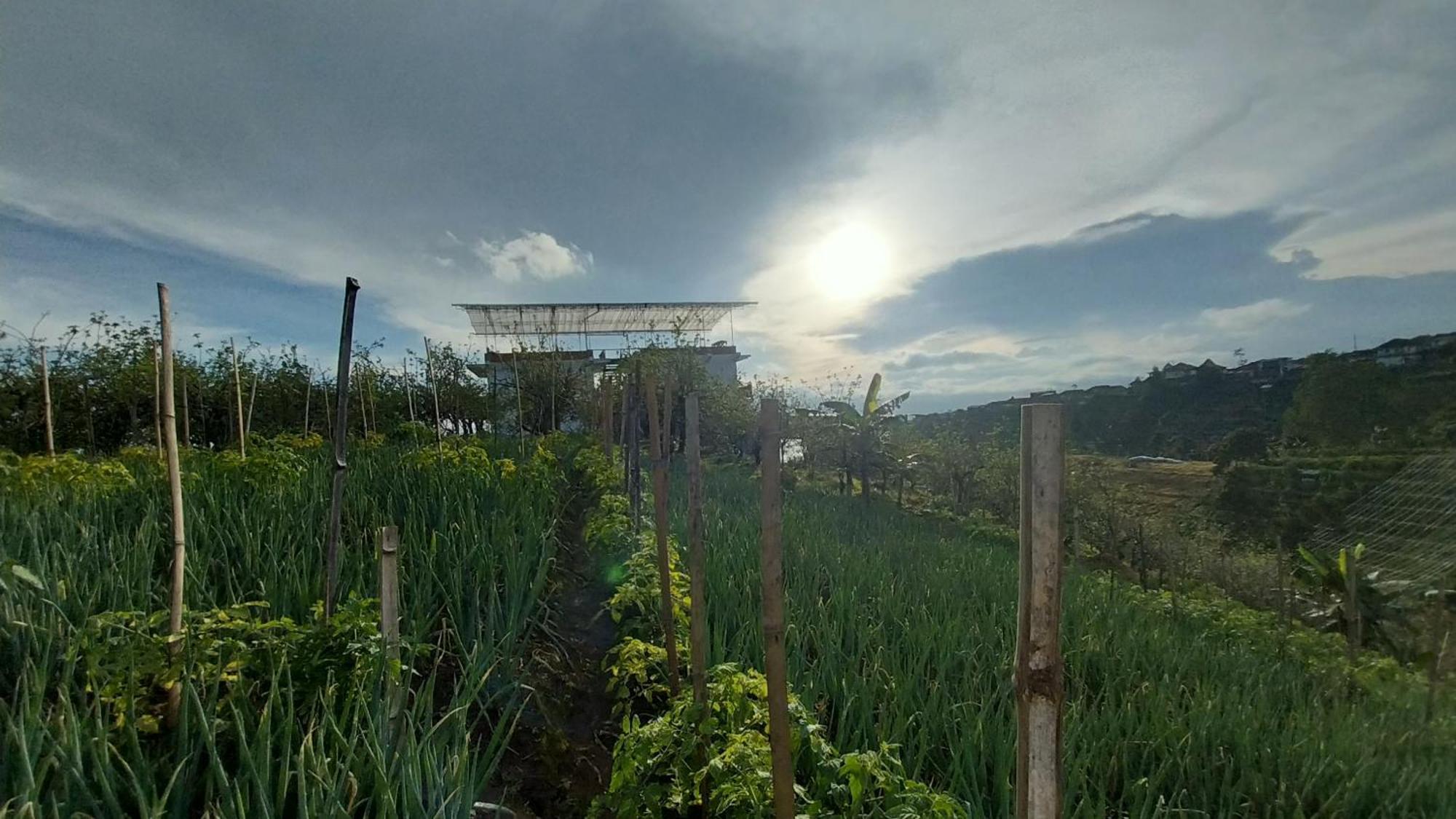 Maison Manendra - Bromo มะลัง ภายนอก รูปภาพ