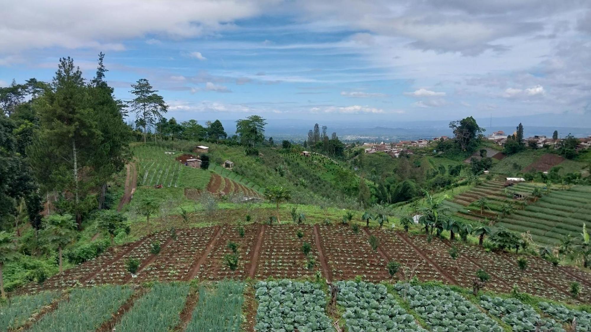 Maison Manendra - Bromo มะลัง ภายนอก รูปภาพ