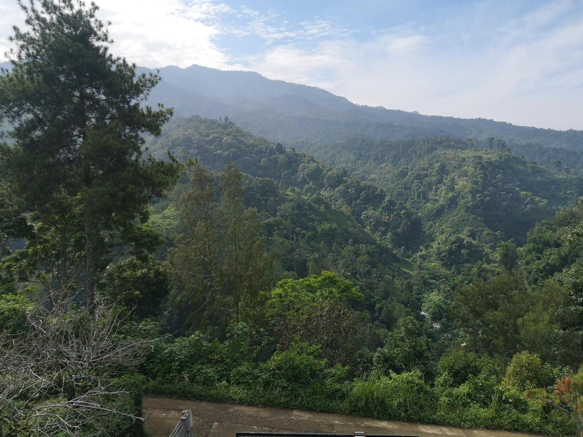 Maison Manendra - Bromo มะลัง ภายนอก รูปภาพ