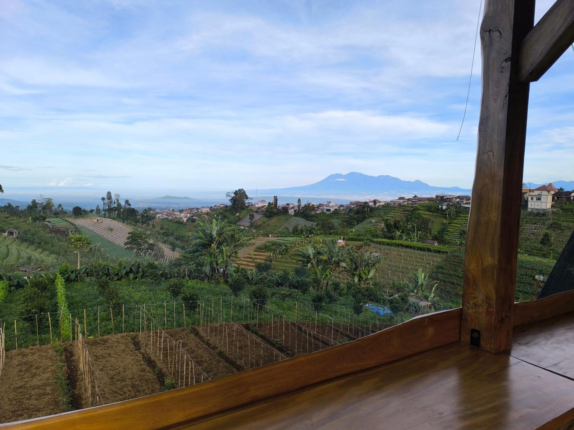 Maison Manendra - Bromo มะลัง ภายนอก รูปภาพ