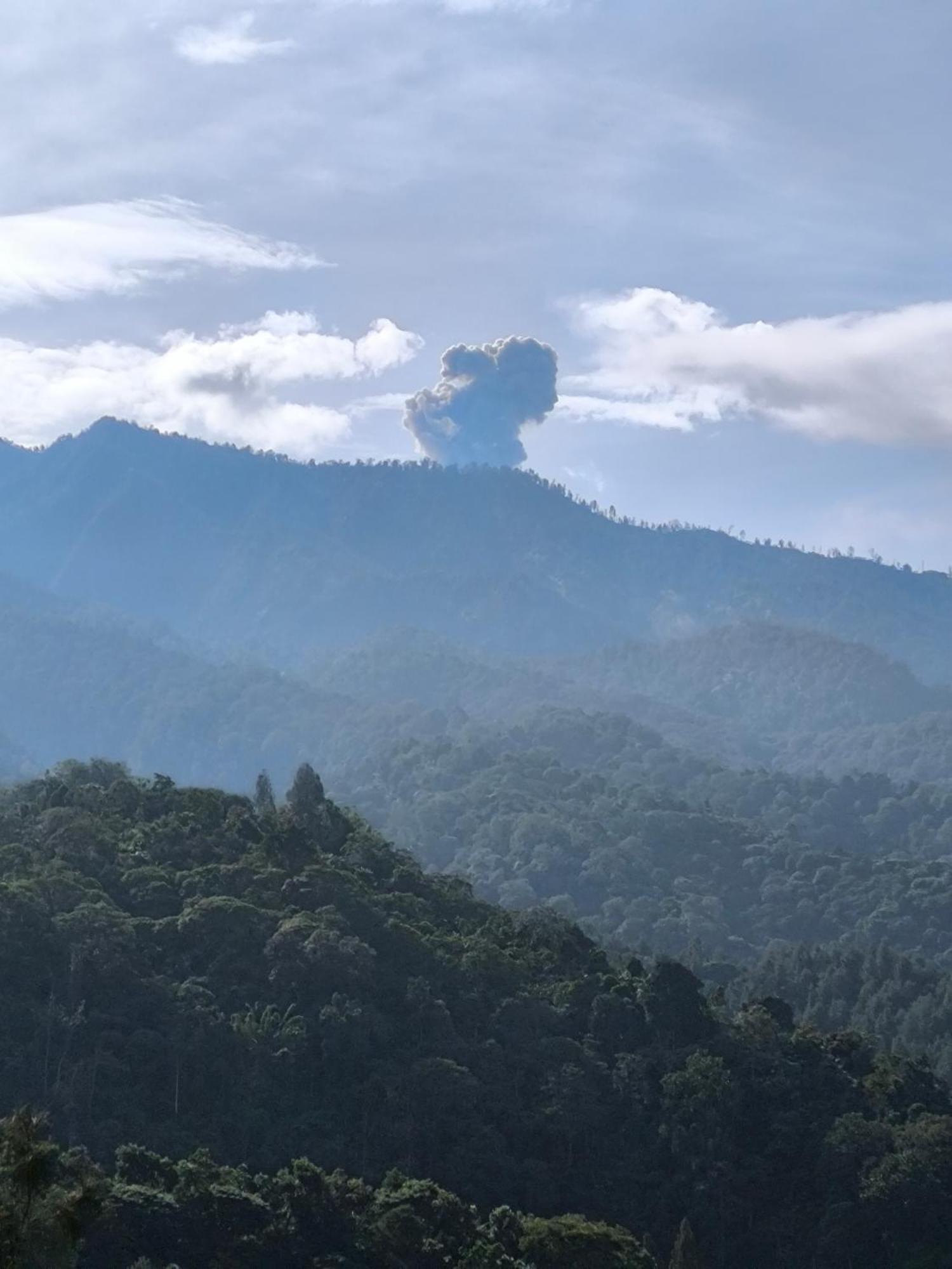 Maison Manendra - Bromo มะลัง ภายนอก รูปภาพ